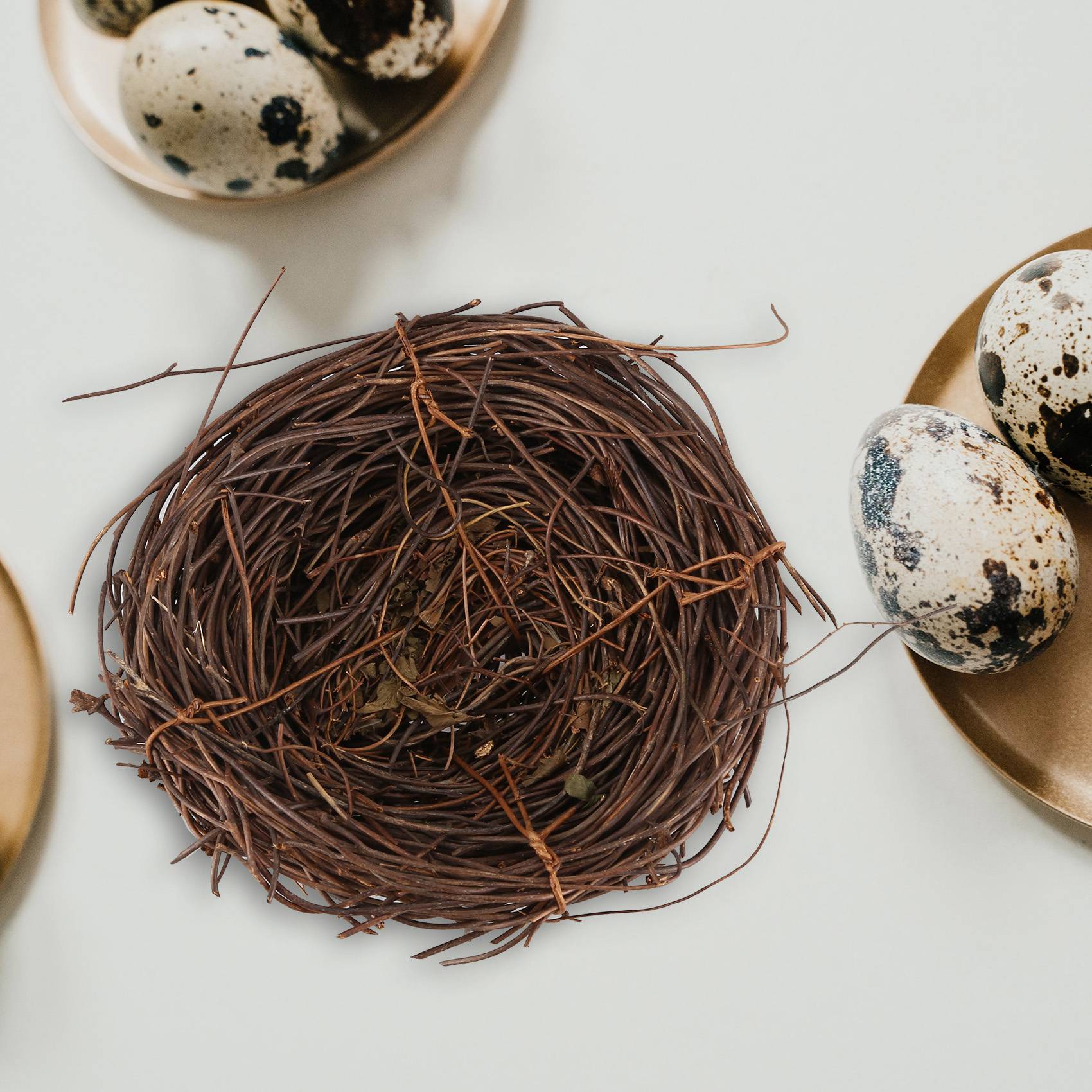 REST Handmade Vine Bird Nest H - Gardening Tools Photo review and price