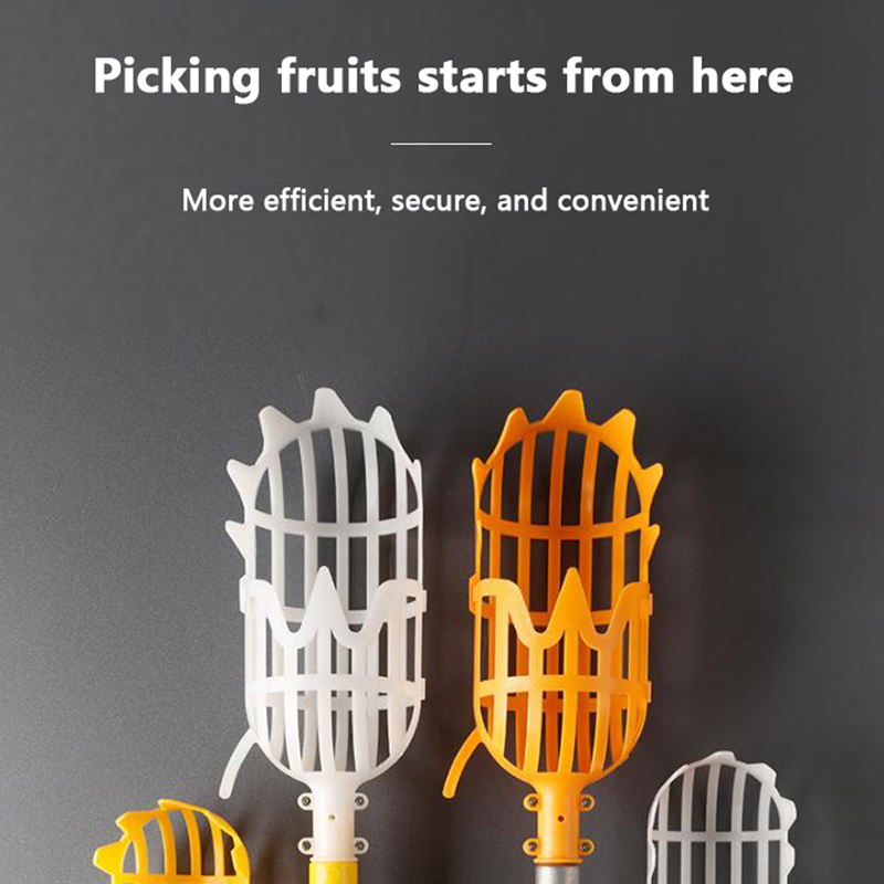 Picking Loquat Picking Bayberr - Gardening Tools Rack review and price