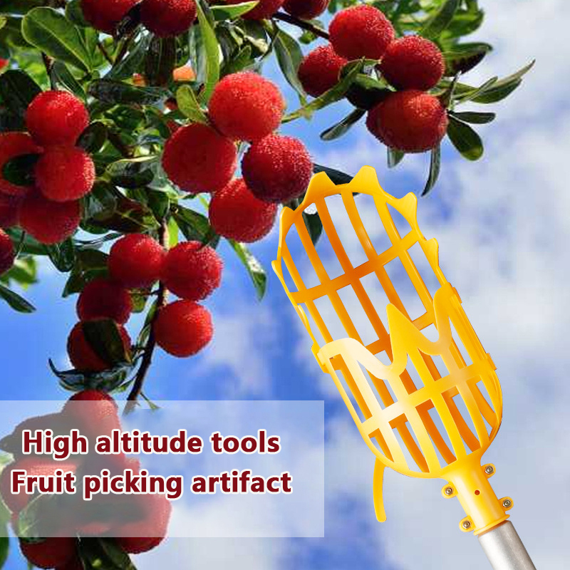 Picking Loquat Picking Bayberr - Gardening Tools Rack review and price