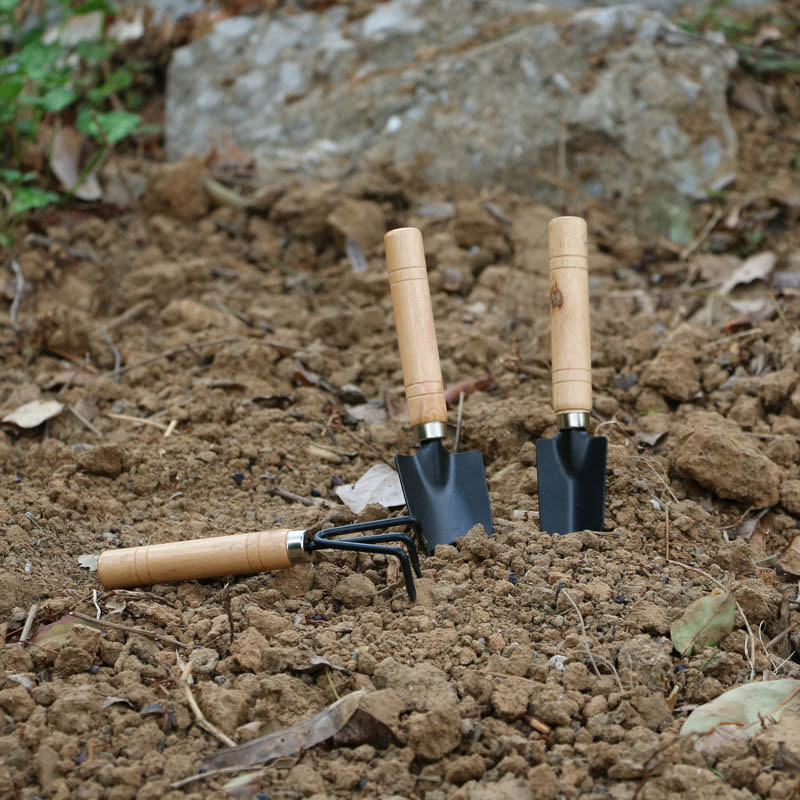 3Pcs/Set Mini Garden Tool Set  - Gardening Tools For Digging review and price