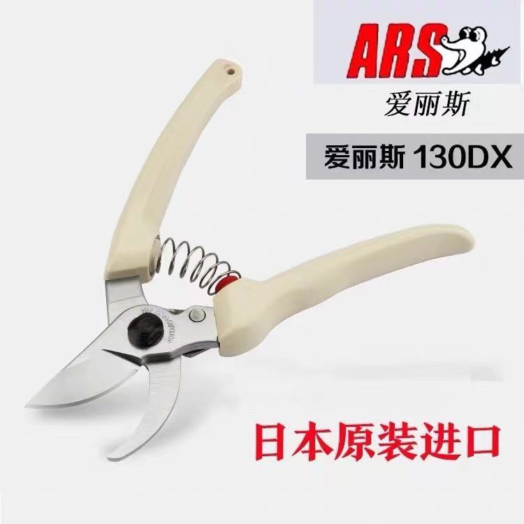 Pruning scissors, garden tools - Gardening Tools Japan review and price