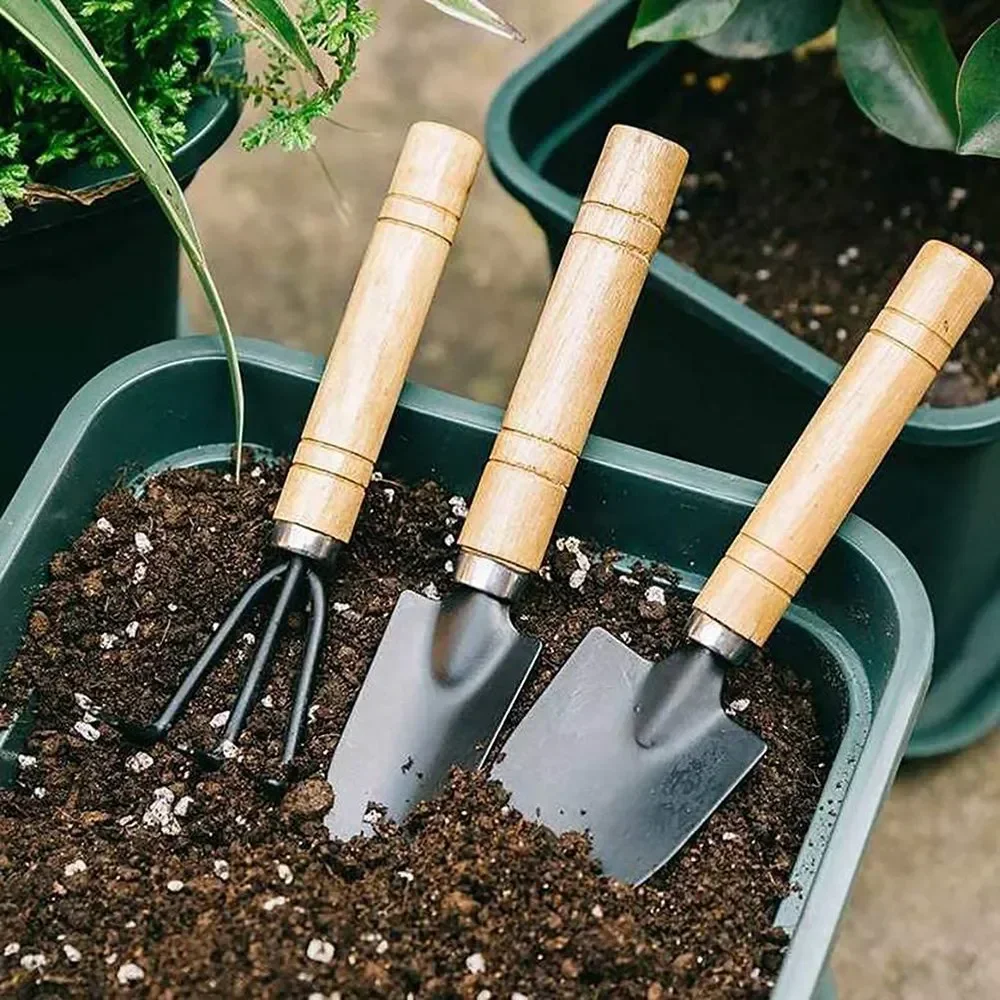 3Pcs/Set Mini Garden Tool Set  - Gardening Tools For Digging review and price