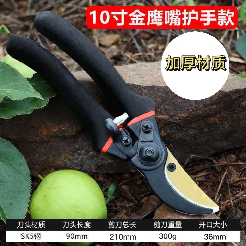 Japan Thickened SK5 Steel Bran - Gardening Tools Japan review and price